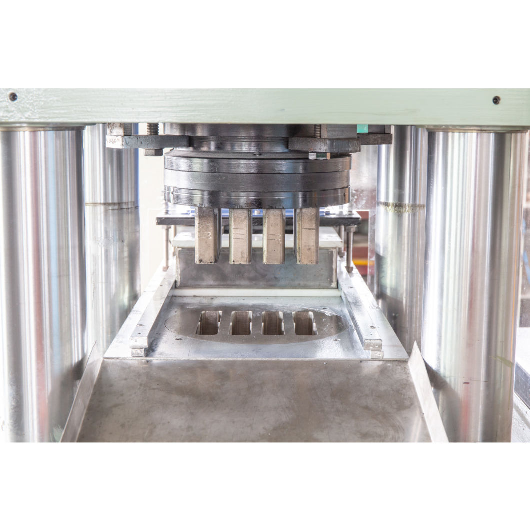 100g/200g Disinfection/Water Treatment Tablet Press Machine/Rotary Tablet Press Machine/Impact Press