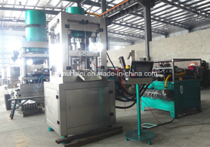200g Chemical Chlorine Hydraulic Powder Press Machine