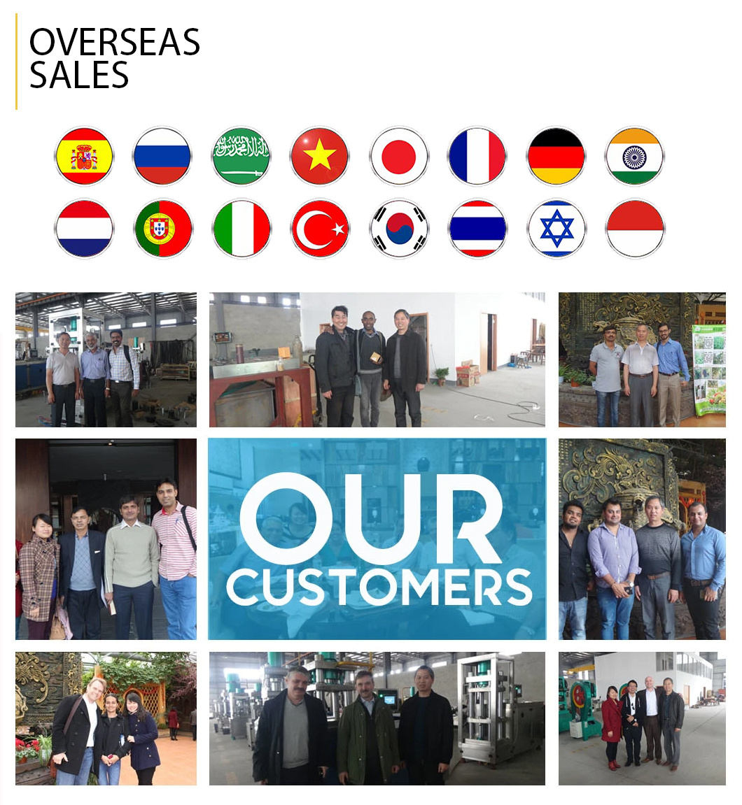 Automatic Camphor Ball Tablet Press Machine/Pill Making Machine/Powder Metallurgy Press