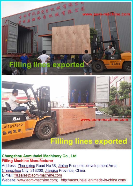 Automatic Effervescent Powder Compaction Machine/Pill Making Machine/Powder Metallurgy Press