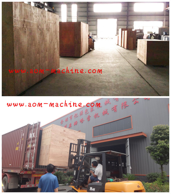 High Quality Large Powder Chlorine Rotary Die Tablet Press