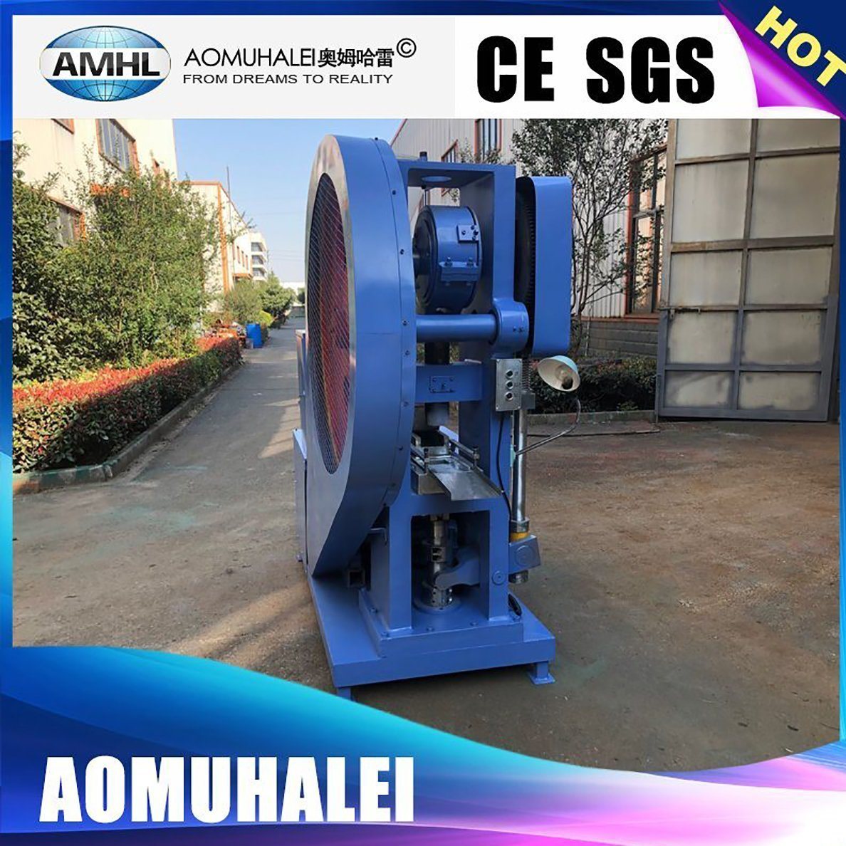 Rotary Single Punch Tablet Press Machine for Industrial Salt Tablets