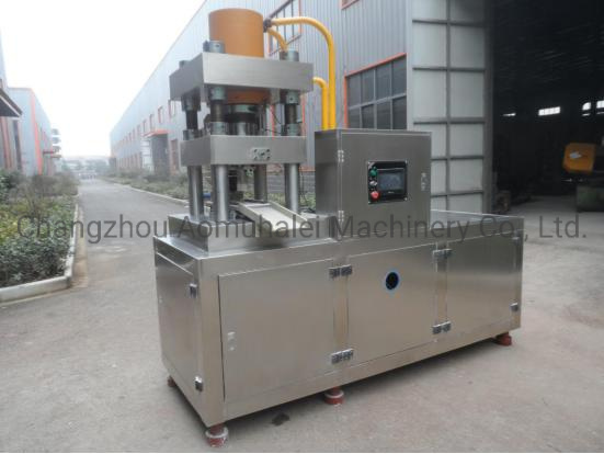 Hydraulic Power Source and New Condition Hydraulic Press for Animal Salt Block Making