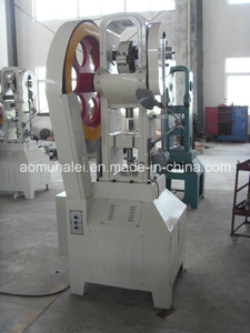 Food Standard Tablet Press Machinery