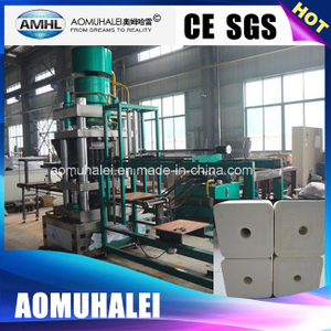 Quality Assurance Hydraulic Tablet Automatic Salt Block Press Machine