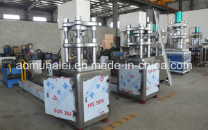 Newest Food Standard Hydraulic Press Machine
