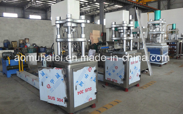 Newest Food Standard Hydraulic Press Machine