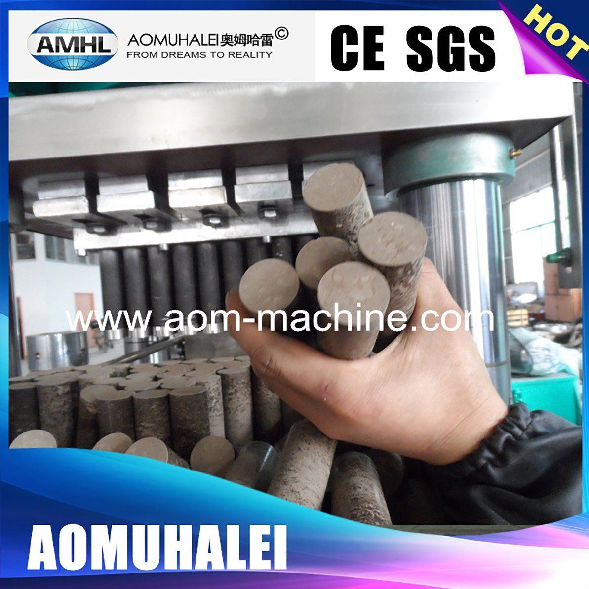 Auomatic Large Chlorine Rotary Tablet Press Machine
