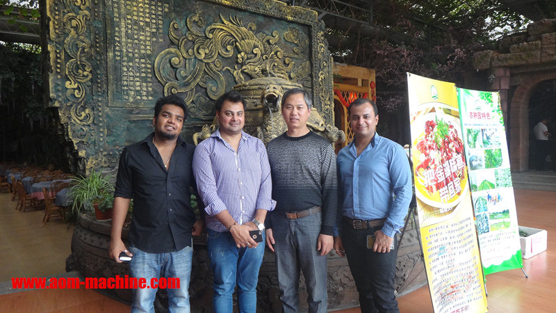 Hydraulic Animal Mineral Licking Salt Block Press Machine