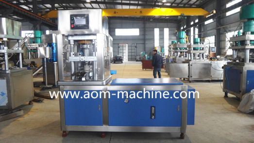 Two Colour Dishwashing Powder Tablet Press Machine